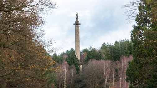 View through the trees towards the Column to Liberty, rising above the treeline